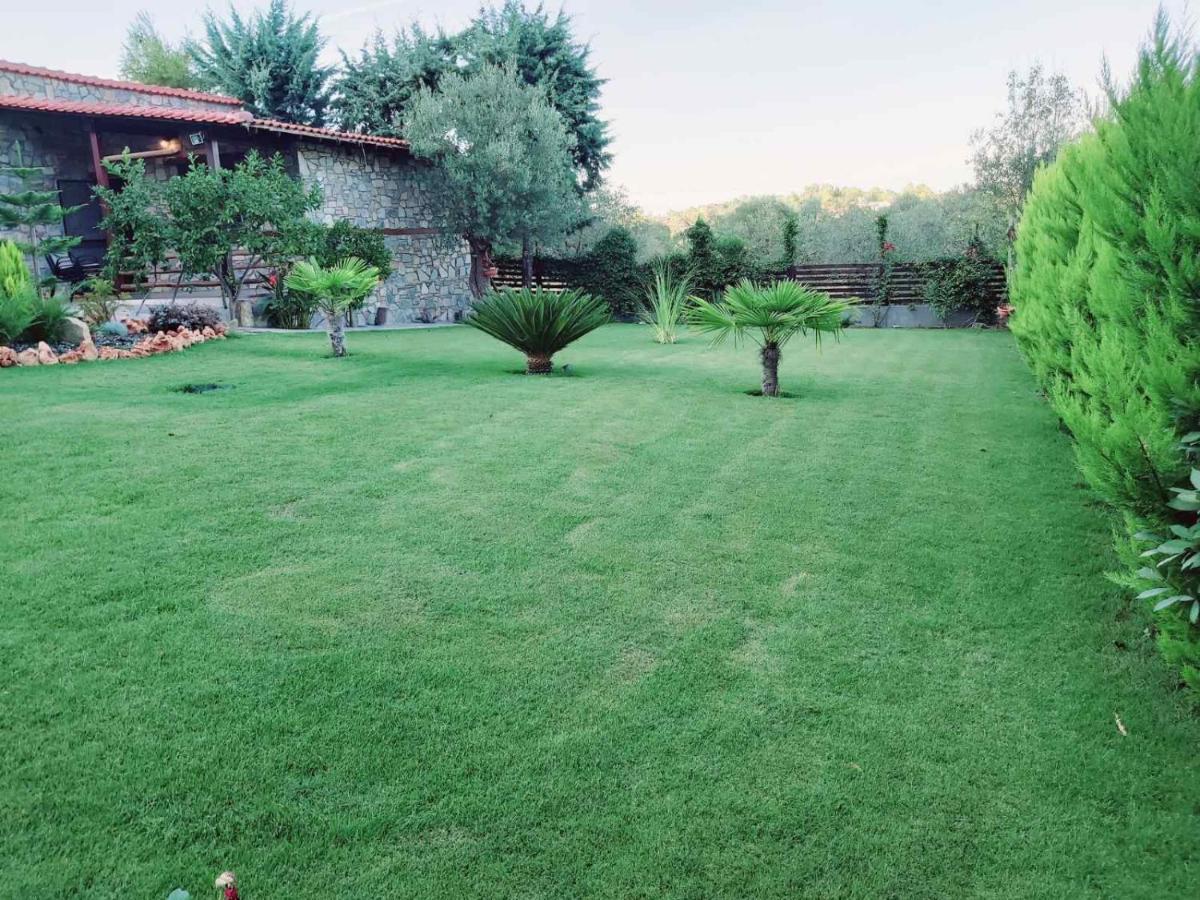Dimitris Villas - Villa 4 Ормос Пангиас Екстериор снимка